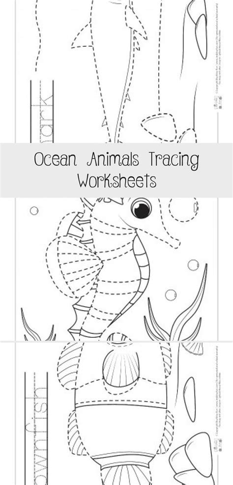 ocean animals tracing worksheets animal worksheets ocean animals - ocean animals tracing ...