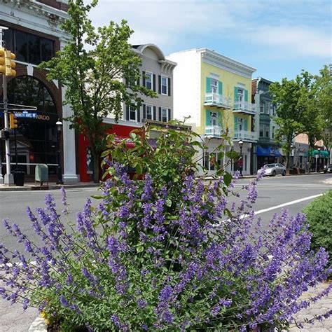 Beautiful downtown Cranford in the Spring #downtowncranford #varkarreg #njrealestate #njrealtors ...