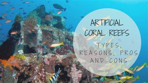 Artificial Coral Reefs - Types, Reasons, Pros and Cons - More Fun Diving