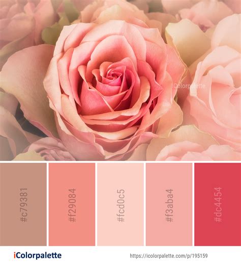 Color Palette ideas from 9097 Flower Images | iColorpalette | Color palette pink, Hex color ...