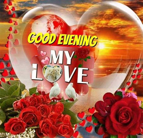 My love good evening evening good evening good night quotes beautiful good evening images | Good ...