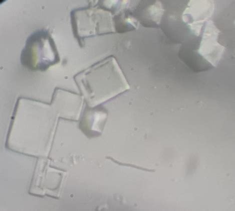 Salt under the microscope – Clounce.com