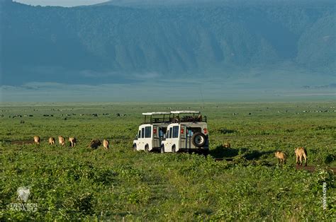 Why You Need to Visit Ngorongoro Crater on Safari - Thomson Safaris