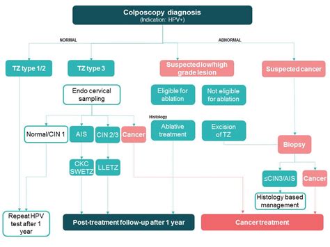 Colposcopy Hpv Positive