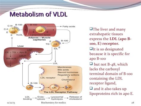 Lipoproteins- structure, classification, metabolism and clinical sign…