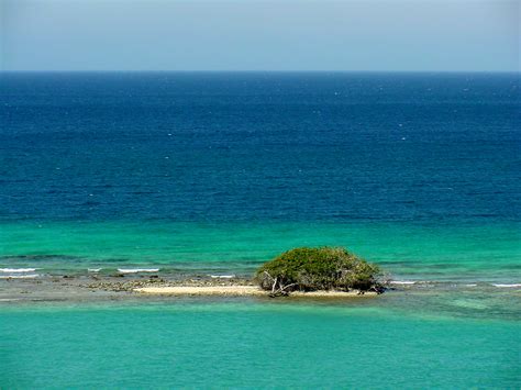 Reef Islands – Surfside Science