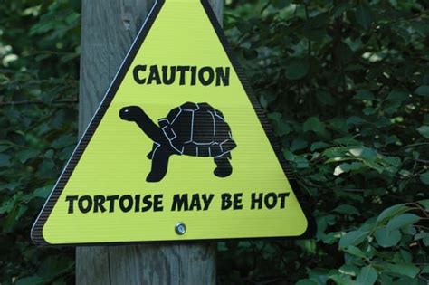 Naturally. 25 Funny Animal Signs Funny Street Signs, Funny Road Signs, Animal Pictures, Funny ...