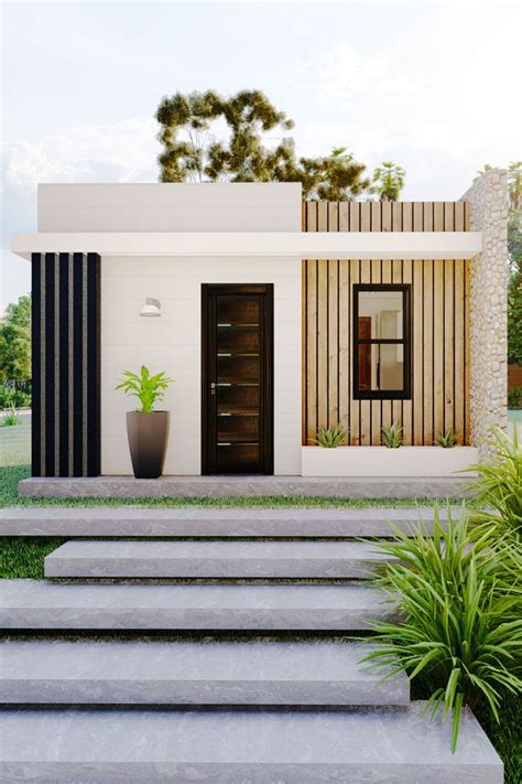 a modern house with steps leading up to the front door