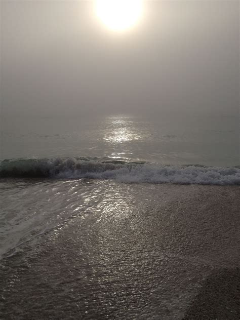 Fog on the Beach = Magical Coastal Life, Fog, Magical, Celestial, Sunset, Landscape, Beach ...