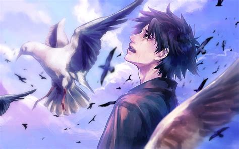 Anime boy cry bird clouds sky . . 538596, Anime Birds HD wallpaper | Pxfuel