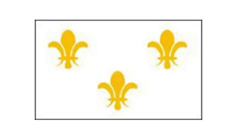 Fleur-De-Lis Flag - Eagle Flag of America Inc.