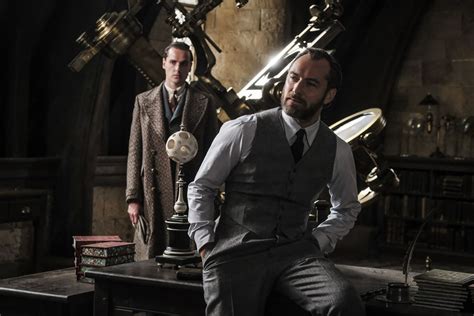 Fantastic Beasts sequel won’t address Dumbledore’s sexuality - Polygon