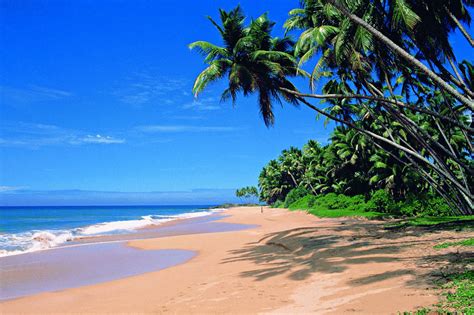 Goa Beaches – Zense Resort