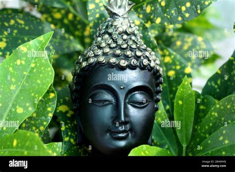 antique buddha god black face statue among green nature Stock Photo - Alamy