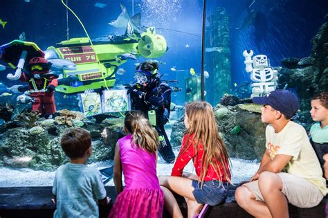 LEGO-Themed Aquarium SEA LIFE Malaysia Opens Its Door on May 9 | Pamper.My