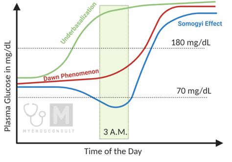 Somogyi Effect Vs. Dawn Phenomenon : A Comprehensive Guide - My Endo ...