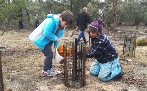 Home for wildlife art receives a boost - Australian Geographic