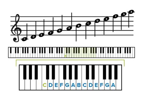 The 7 Letter Alphabet: How to Name Music Notes | Music notes letters, Music notes, Music letters