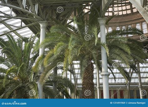 View of Ny Carlsberg Glyptotek Editorial Stock Image - Image of ...