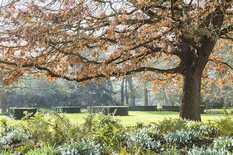 Cambridge University Botanic Garden