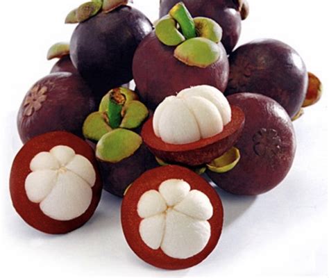 Gambar Buah Tempatan - Gambar Buah Buahan Tempatan Related Guava Fruit Guava Fruit Tree Guava ...