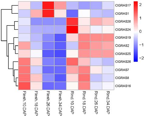 The GRAS gene family in watermelons: identification, characterization ...