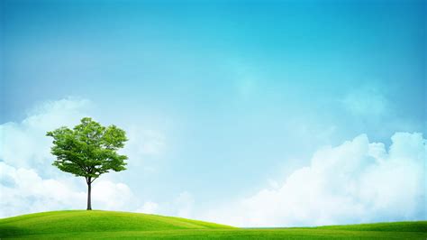 Sky and Grass Wallpapers - Top Free Sky and Grass Backgrounds - WallpaperAccess