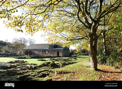 Norton Priory Museum & Gardens. Autumnal view of Norton Priory ruins ...