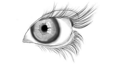 Eye Line Drawing | Line art, Line drawing, Drawings