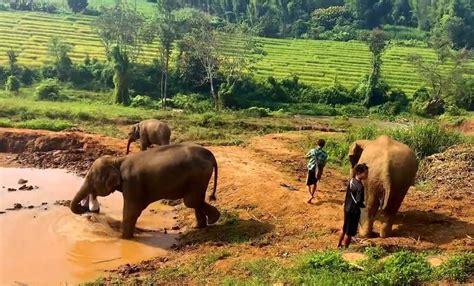 Luang Prabang - Laos Destination info | Travel Authentic Asia