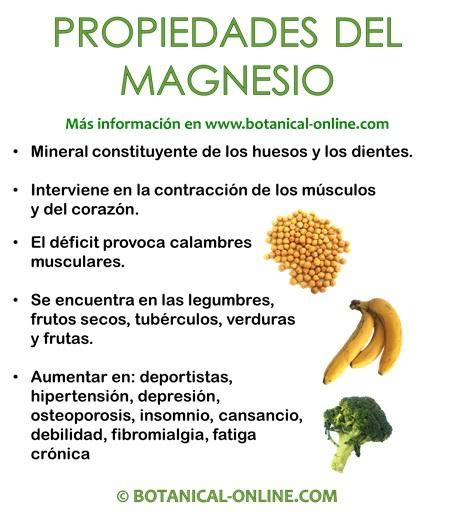 Propiedades del magnesio – Botanical-online