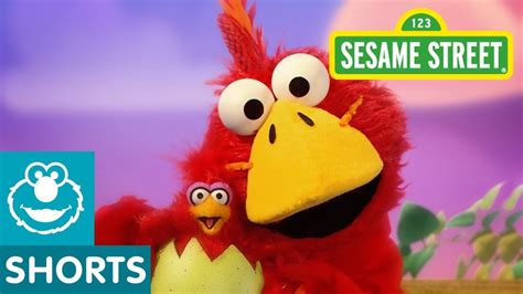 Sesame Street: Big Brother Bird | Elmo the Musical - YouTube