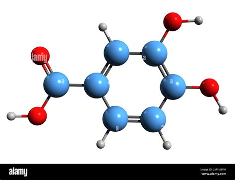 3D image of Protocatechuic acid skeletal formula - molecular chemical ...