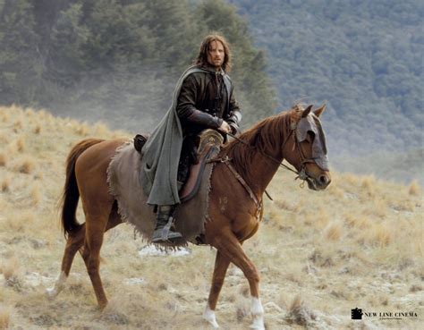 Horses of Rohan | Brego.net