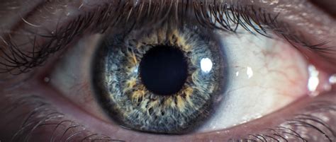 Macro - Eye. by WillCook on DeviantArt