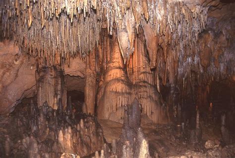 Cave Formations 5 Photograph by T C Brown