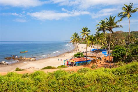 Goa Tourism Surges, People Make Their Way To The Sunshine State For ‘Escape Tourism’ | WhatsHot Goa