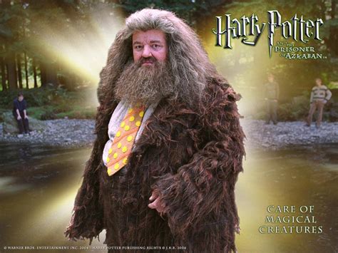 Hagrid Quotes. QuotesGram