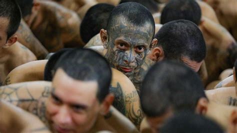 El Salvador Moves Suspected Gang Members to 'Mega Prison' amid War on Crime — Transcontinental Times