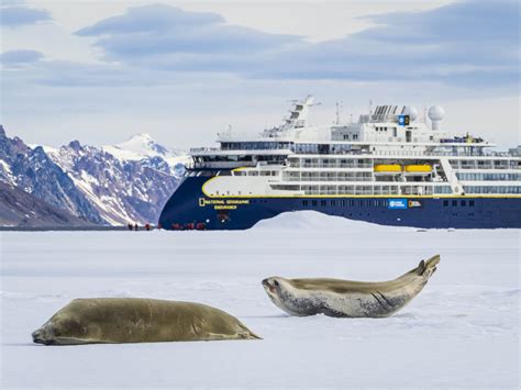 6 Seals to Spot in the Southern Ocean | Lindblad Expeditions