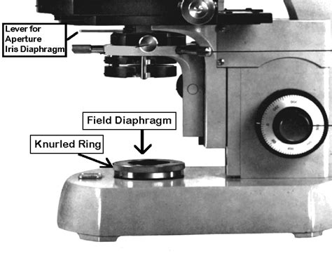 Proper Use of the Light Microscope: Kohler Illumination