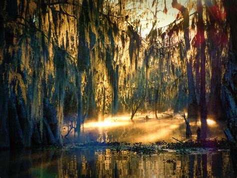 Light In The Deepest Swamp Photograph by Kimo Fernandez - Fine Art America