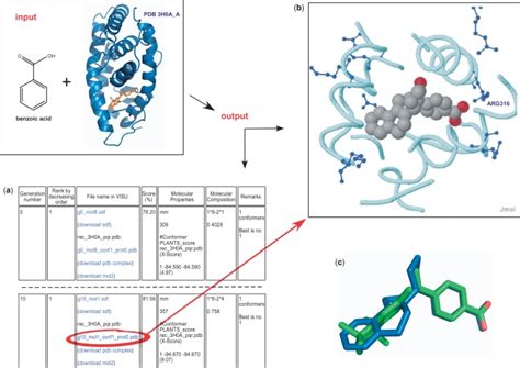 Input and Output contents of the de novo drug design module. Inputs are... | Download Scientific ...