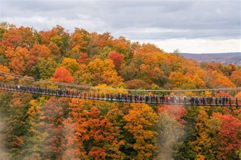 SkyBridge Michigan: World's Longest Timber-Towered Suspension Bridge