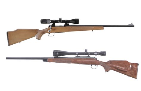 Best .22-250 Rifle Buyer’s Guide - Gun And Survival