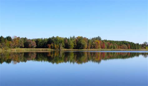 Fall Colour Updates - Hamilton Conservation Authority