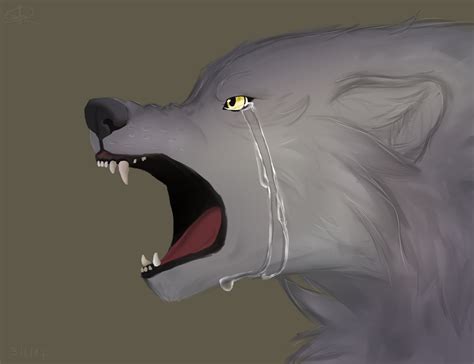 Sad wolf by Akinal78 on DeviantArt