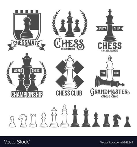 Set chess labels badges and design elements Vector Image