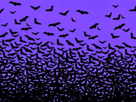 Bat Halloween Wallpaper Background HD | CBEditz