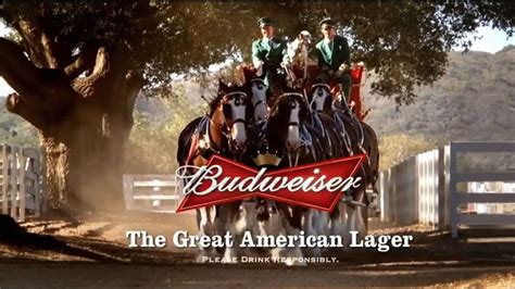 Budweiser Clydesdale Super Bowl Ad - Off Course - Chronicle Forums